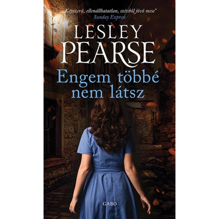 Engem t&ouml;bb&eacute; nem l&aacute;tsz - Lesley Pearse