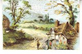 D11 A 27 - Felicitare de colectie - circulata la 1903 - Frankfurt