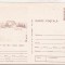bnk cp Sinaia - Cota 1300 - Cabana Bradet - necirculata - marca fixa - 0049/79