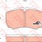 Set placute frana,frana disc IVECO DAILY VI platou / sasiu (2014 - 2016) TRW GDB1535