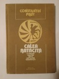 Constantin Prut - Calea rătăcită - o privire asupra artei populare rom&acirc;nești