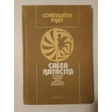 Constantin Prut - Calea rătăcită - o privire asupra artei populare rom&acirc;nești