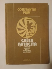 Constantin Prut - Calea rătăcită - o privire asupra artei populare rom&amp;acirc;nești foto