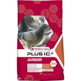 Versele Laga, Hrana porumbei, Junior Plus IC+ Black, 20 kg