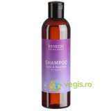 Sampon pentru Reparare si Stralucire cu Ulei de Argan 250ml