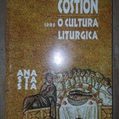 Spre o cultura liturgica- Costion Nicolescu