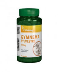 GYMNEMA SYLVESTRE 400MG ? 90 COMPRIMATE foto