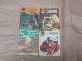 CONSERVAREA FRUCTELOR PENTRU IARNA + CONSERVAREA LEGUMELOR PENTRU IARNA + CONSEVE DIN LEGUME SI FRUCTE + IMI REUSESC TOATE CONSERVELE DIN FRUCTE