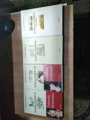 Gabriela Melinescu - Jurnal suedez 4 volume (I-IV), 1-4, (Editura Polirom, 2003, 2002, 2004, 2008)
