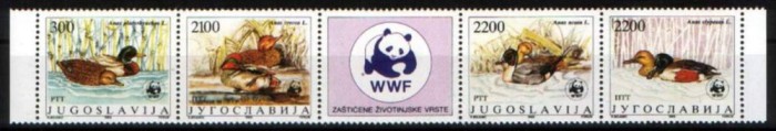 IUGOSLAVIA 1989 WWF FAUNA PROTEJATA PASARI RATE
