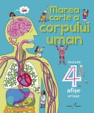 Cumpara ieftin Marea carte a corpului uman |, 2019