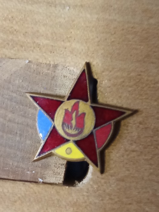 Insigne (5) RPR