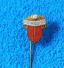 Insigna fotbal - ASM CUGIR (varianta 1)