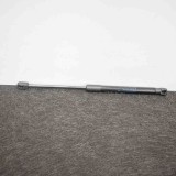 Amortizor Haion Stanga BMW Seria 3 F30 F80 2013- OEM 7259763  3460390