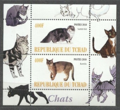 Chad 2010 Cats, perf. sheet, MNH S.121 foto