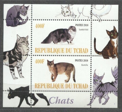 Chad 2010 Cats, perf. sheet, MNH S.121