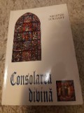 Consolarea divina