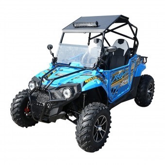 Buggy 4x2 UTV 400cc FX400-2 PREDATOR foto