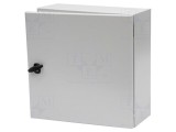Carcasă montare pe perete SCHNEIDER ELECTRIC 500mm x 500mm x 200mm oţel IP66