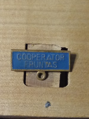 Insigne (4) Cooperator Fruntas bareta foto