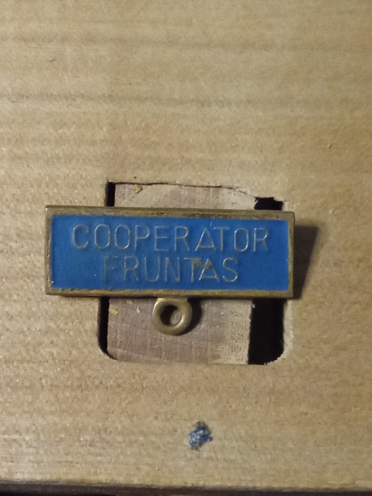 Insigne (4) Cooperator Fruntas bareta