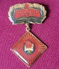 Insigna Pionier Instructor UTC