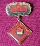 Insigna Pionier Instructor UTC