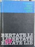 LIBERTATEA ARE CHIPUL LUI DUMNEZEU REZISTENTA ANTICOMUNISTĂ DIN FAGARAS LEGIONAR, 1993