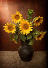 Tablou canvas Buchet floarea soarelui, 30 x 45 cm foto