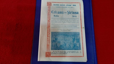 program Crisana Sebis - Siriana Siria foto