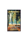 Cumpara ieftin Izvorul luminos al iubirii, Dharana