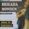 ORGII IN BAHAMAS-MICHEL BRICE-234432