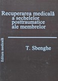 Cumpara ieftin Recuperarea medicala a sechelelor posttraumatice ale membrelor (E232)