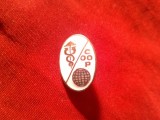 Insigna studenteasca interbelica ASE -Comert - COOP ,h=1,8cm