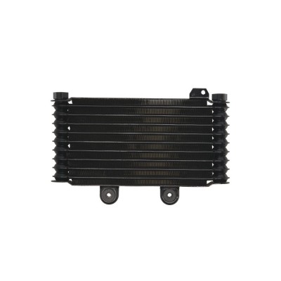 Radiator SUZUKI GSF 600/650 1995-2006 Bandit ABS foto