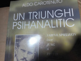 UN TRIUNGHI PSIHANALITIC - ALDO CAROTENUTO, ED. TREI, CURTEA VECHE 2001, 259 P