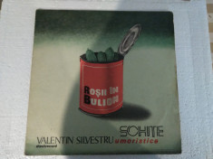 *Valentin Silvestru - Schite, declaratiuni, disc placa vinil vinyl electrecord foto