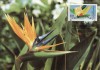 C4772 - Germania 1983 - carte maxima flora