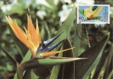 C4772 - Germania 1983 - carte maxima flora