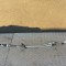 Cablu timonerie FORD TRANSIT CUSTOM Minibus / passenger 2014 OEM: BK2R7E395DB,BK2R-7E395-DB 2127954