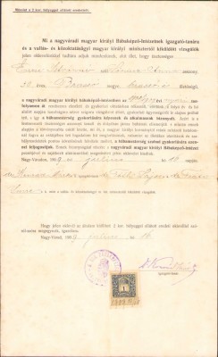 HST 305S Brevet soră medicală pediatrie 1909 Oradea foto