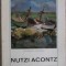 NUTZI ACONTZ. ALBUM PICTURA-GEORGETA PELEANU-235576