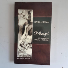 Kahlil Gibran - Pribeagul. Zeii pamantului, furtunile, pribeagul