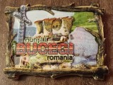 D1 - Magnet frigider - tematica turism - Muntii Bucegi - Romania 23