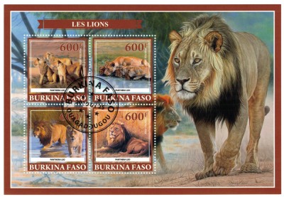 BURKINA FASO 2019 - Lei /set complet - colita + bloc foto