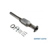 Catalizator Seat Ibiza III (2002-2009)[6L1] #1