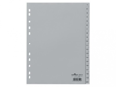 Index plastic A4 1-20 Durable foto