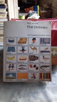 FIRST DICTIONARY - JOHN TREVASKIS (PRIMUL DICTIONAR) foto