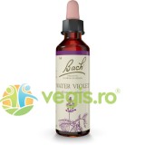 Bach 34 Water Violet (Viorea de Balta) Picaturi 20ml