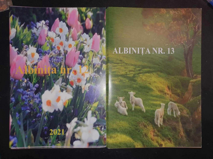 2 reviste Gradinita Albinita din comuna Schela, Galati, numerele 12 si 13, 2021